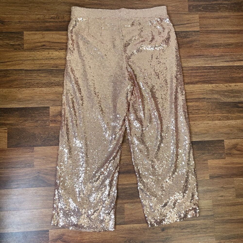 Torrid Size 2 2X 18-20 Pants Sequins Wide Leg Flex Champagne Lined Holiday NWT - Picture 4 of 11